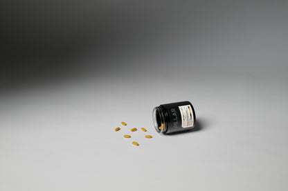 CURCUMIN   ADVANCED+